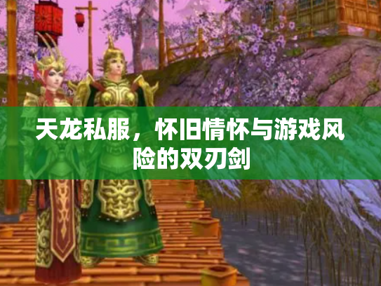 天龙私服，怀旧情怀与游戏风险的双刃剑