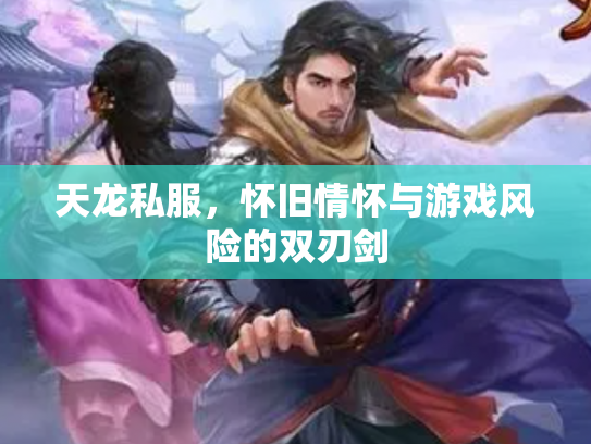 天龙私服，怀旧情怀与游戏风险的双刃剑