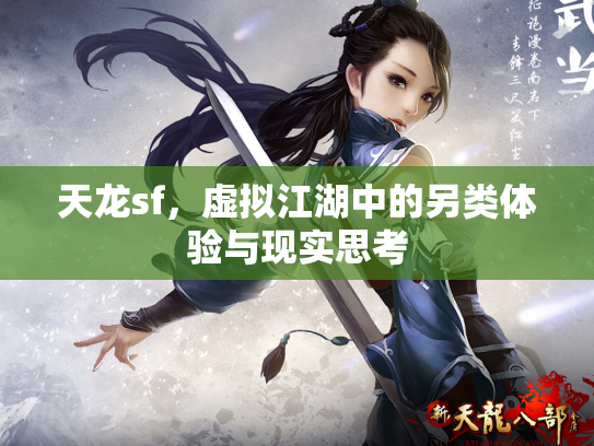 天龙sf，虚拟江湖中的另类体验与现实思考