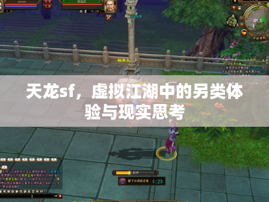 天龙sf，虚拟江湖中的另类体验与现实思考
