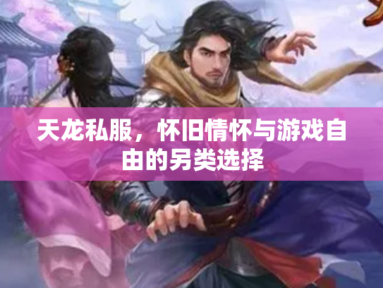 天龙私服，怀旧情怀与游戏自由的另类选择