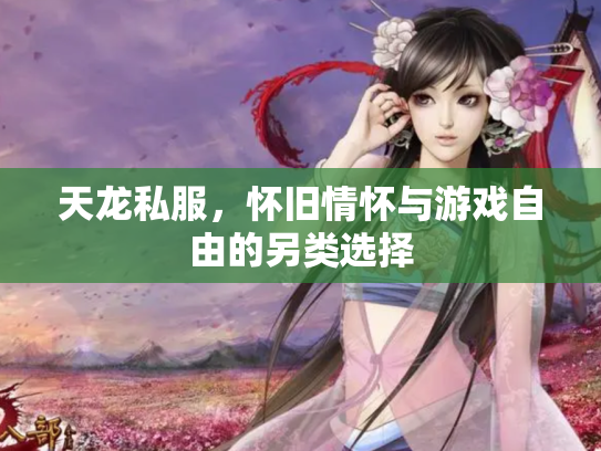 天龙私服，怀旧情怀与游戏自由的另类选择