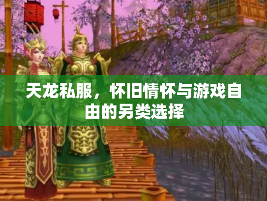 天龙私服，怀旧情怀与游戏自由的另类选择