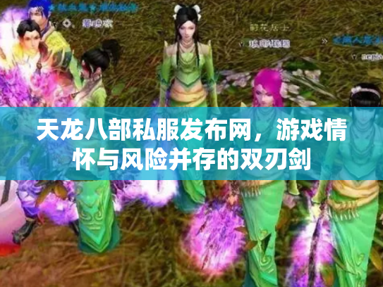 天龙八部私服发布网，游戏情怀与风险并存的双刃剑