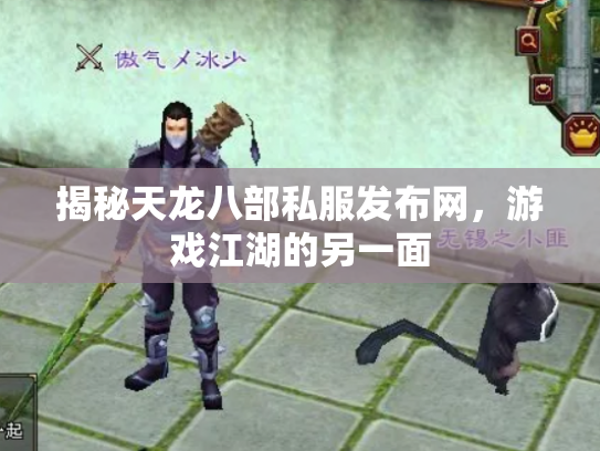 揭秘天龙八部私服发布网，游戏江湖的另一面