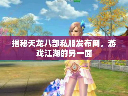 揭秘天龙八部私服发布网，游戏江湖的另一面