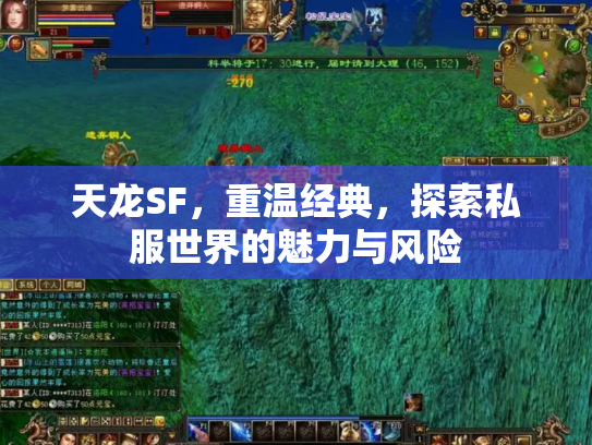 天龙SF，重温经典，探索私服世界的魅力与风险