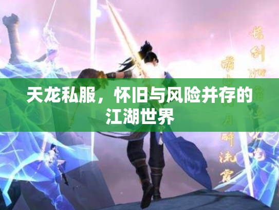 天龙私服，怀旧与风险并存的江湖世界