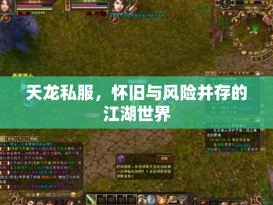 天龙私服，怀旧与风险并存的江湖世界