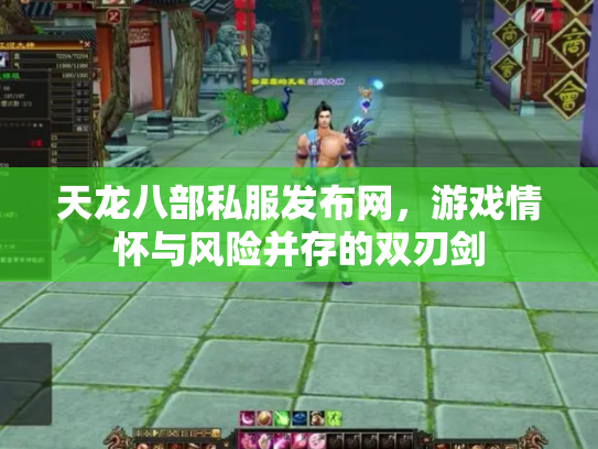 天龙八部私服发布网，游戏情怀与风险并存的双刃剑