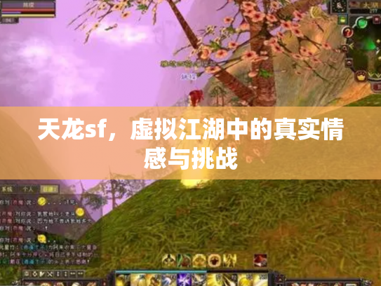 天龙sf，虚拟江湖中的真实情感与挑战