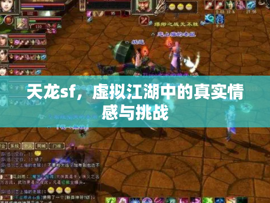 天龙sf，虚拟江湖中的真实情感与挑战