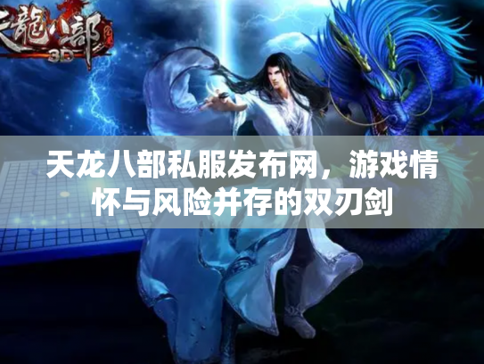 天龙八部私服发布网，游戏情怀与风险并存的双刃剑