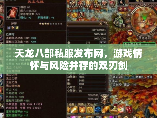 天龙八部私服发布网，游戏情怀与风险并存的双刃剑