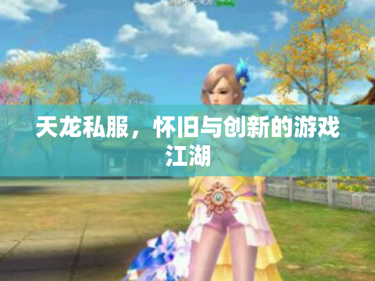 天龙私服，怀旧与创新的游戏江湖
