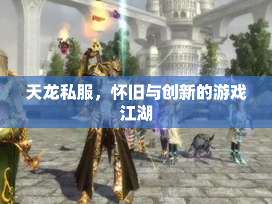 天龙私服，怀旧与创新的游戏江湖