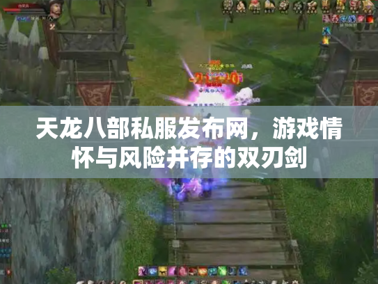 天龙八部私服发布网，游戏情怀与风险并存的双刃剑