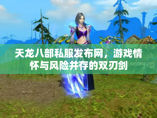 天龙八部私服发布网，游戏情怀与风险并存的双刃剑