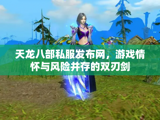 天龙八部私服发布网，游戏情怀与风险并存的双刃剑