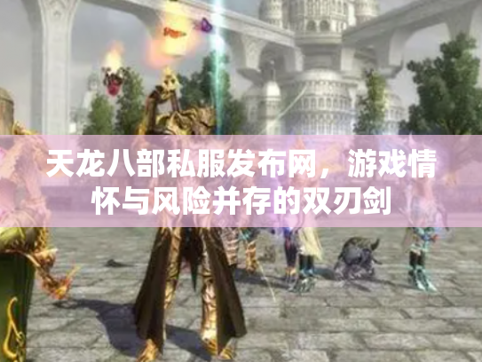 天龙八部私服发布网，游戏情怀与风险并存的双刃剑