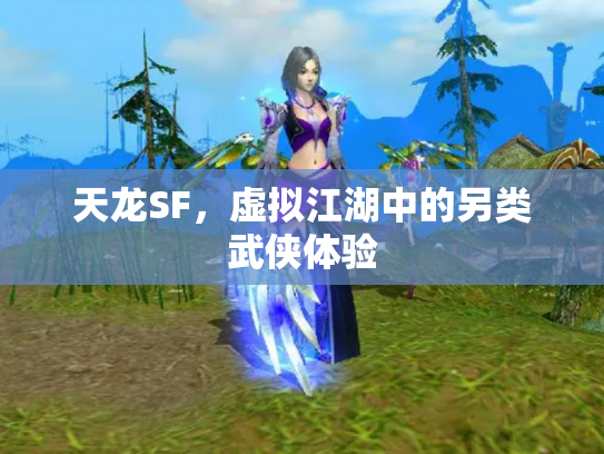 天龙SF，虚拟江湖中的另类武侠体验