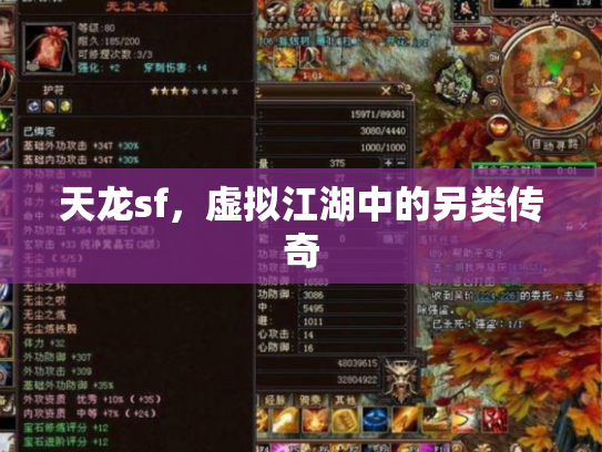 天龙sf，虚拟江湖中的另类传奇