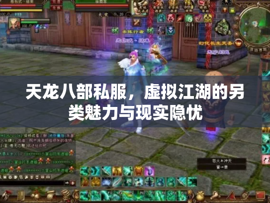 天龙八部私服，虚拟江湖的另类魅力与现实隐忧
