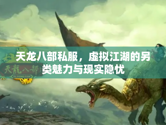 天龙八部私服，虚拟江湖的另类魅力与现实隐忧