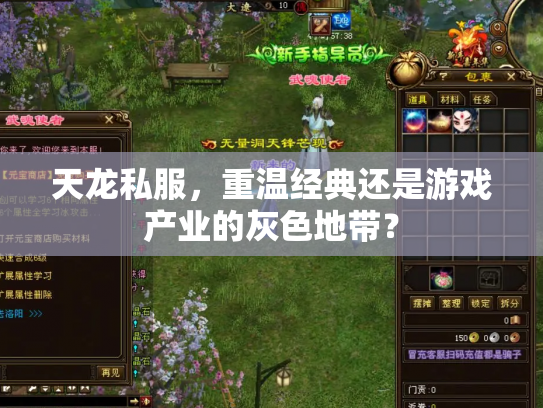 天龙私服，重温经典还是游戏产业的灰色地带？