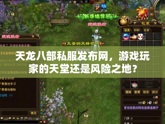 天龙八部私服发布网，游戏玩家的天堂还是风险之地？