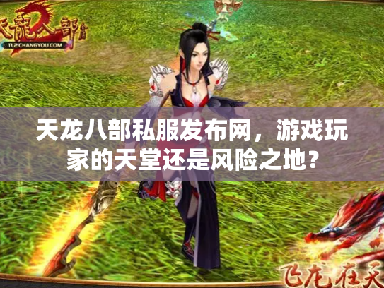 天龙八部私服发布网，游戏玩家的天堂还是风险之地？