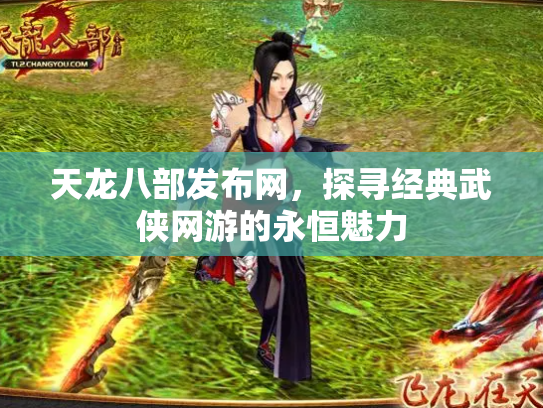 天龙八部发布网，探寻经典武侠网游的永恒魅力