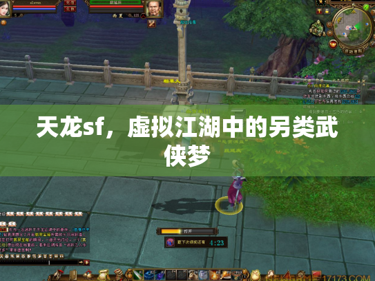 天龙sf，虚拟江湖中的另类武侠梦