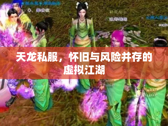 天龙私服，怀旧与风险并存的虚拟江湖