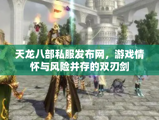 天龙八部私服发布网，游戏情怀与风险并存的双刃剑