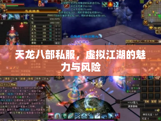 天龙八部私服，虚拟江湖的魅力与风险
