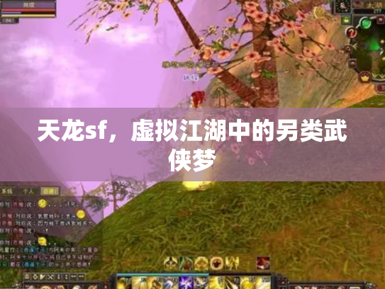 天龙sf，虚拟江湖中的另类武侠梦