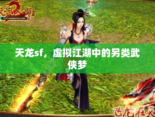 天龙sf，虚拟江湖中的另类武侠梦