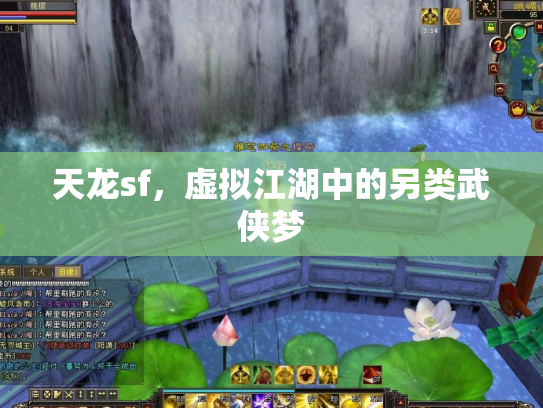 天龙sf，虚拟江湖中的另类武侠梦