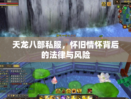 天龙八部私服，怀旧情怀背后的法律与风险