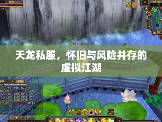 天龙私服，怀旧与风险并存的虚拟江湖