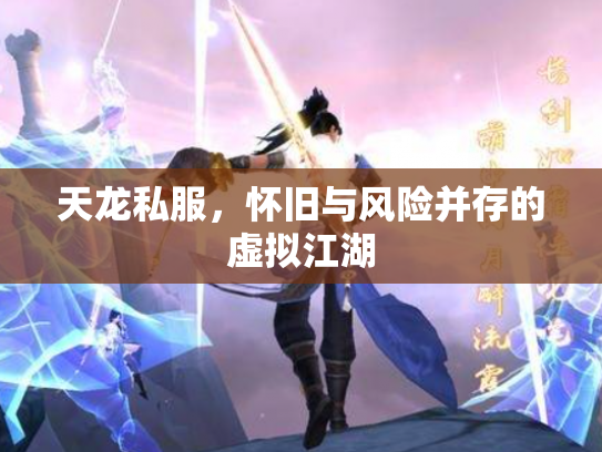 天龙私服，怀旧与风险并存的虚拟江湖