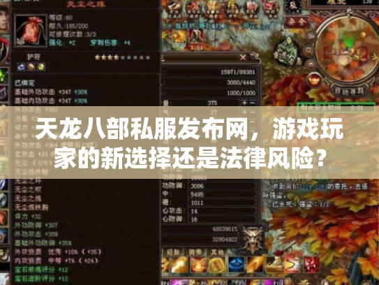 天龙八部私服发布网，游戏玩家的新选择还是法律风险？
