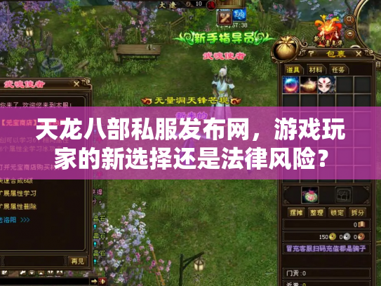 天龙八部私服发布网，游戏玩家的新选择还是法律风险？