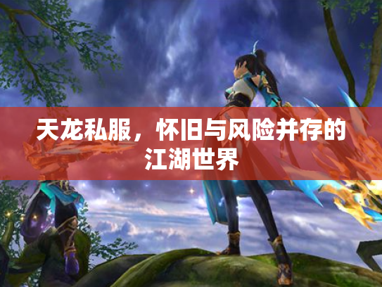 天龙私服，怀旧与风险并存的江湖世界