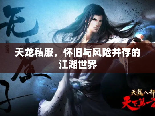 天龙私服，怀旧与风险并存的江湖世界