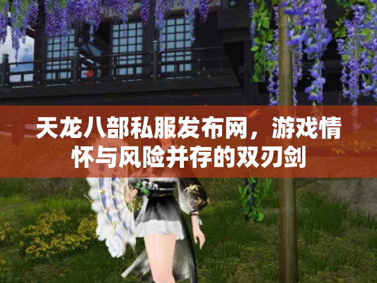 天龙八部私服发布网，游戏情怀与风险并存的双刃剑