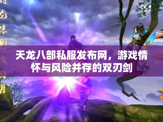 天龙八部私服发布网，游戏情怀与风险并存的双刃剑