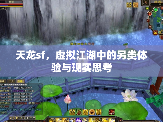 天龙sf，虚拟江湖中的另类体验与现实思考