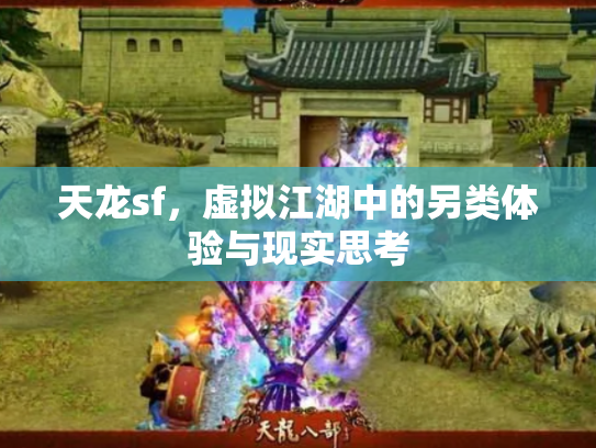 天龙sf，虚拟江湖中的另类体验与现实思考